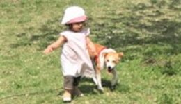 みんな一緒にお散歩なの
